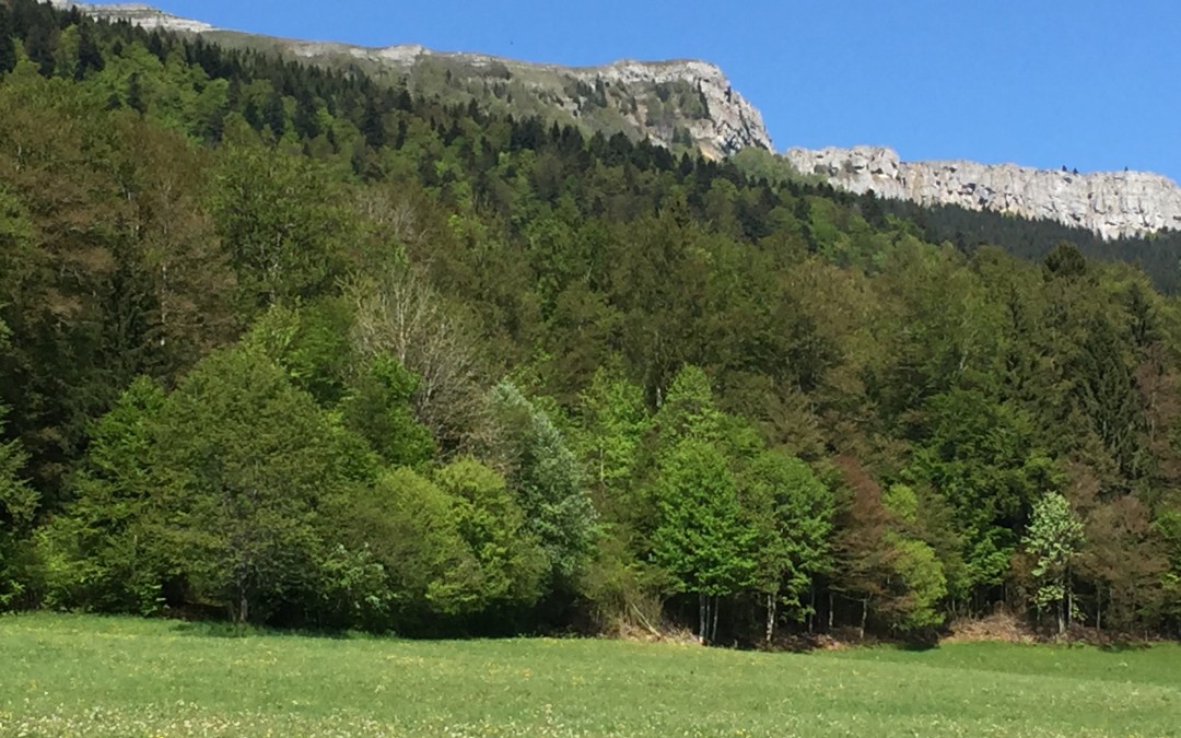 Le Mont d’Or